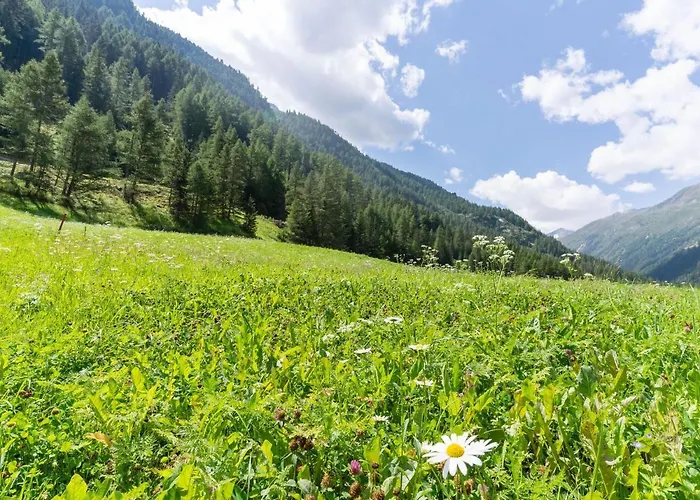 International House * سولدن