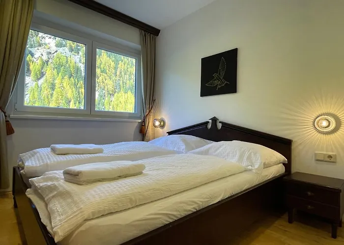 فندق International House *