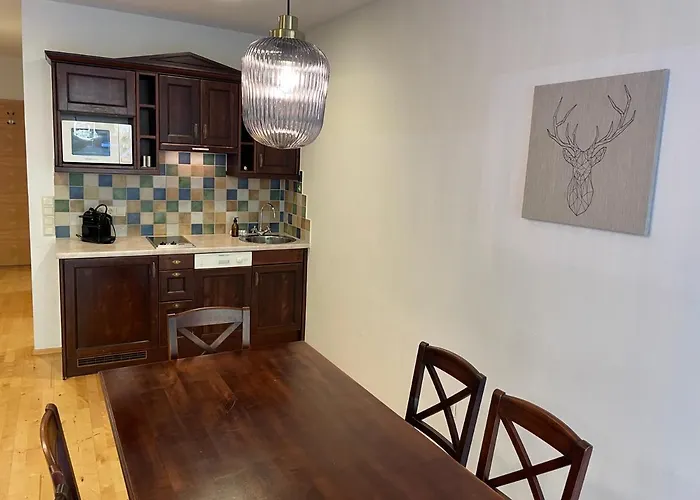 فندق International House *