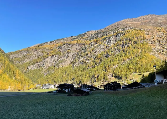 International House ホテル